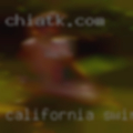 California swinging married